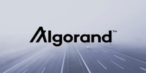 Algorand CEO confirms Coinbase's discontinuation of ALGO staking rewards for retail customers