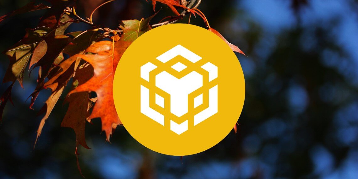 Binance Coin price analysis