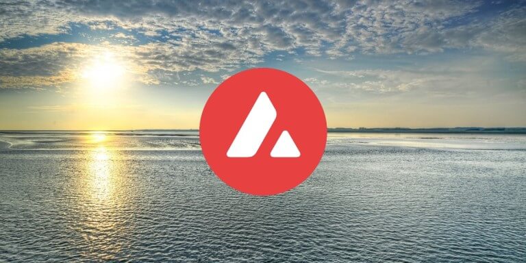 Avalanche price analysis: AVAX consolidates at $13 as bulls try to uplift the coin value