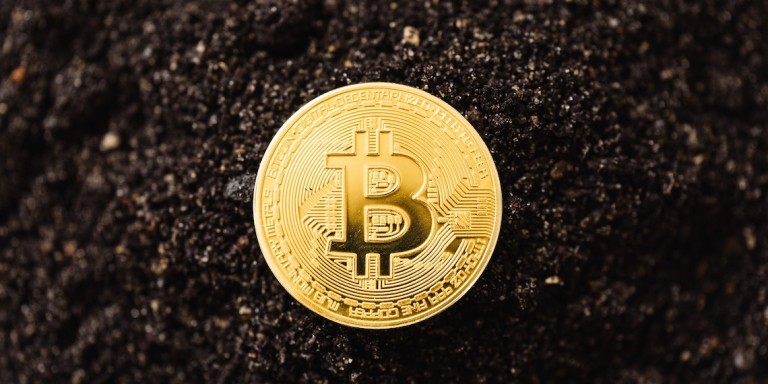 Best crypto memes of the day