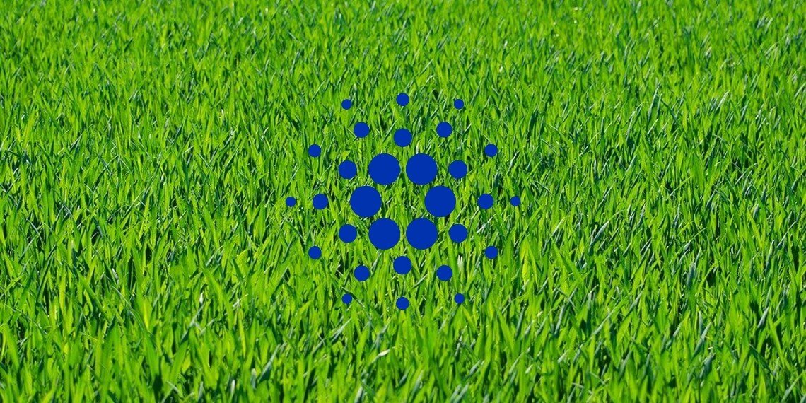 Cardano price analysis