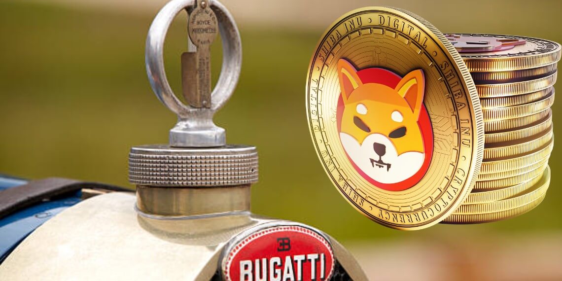 Shiba Inu