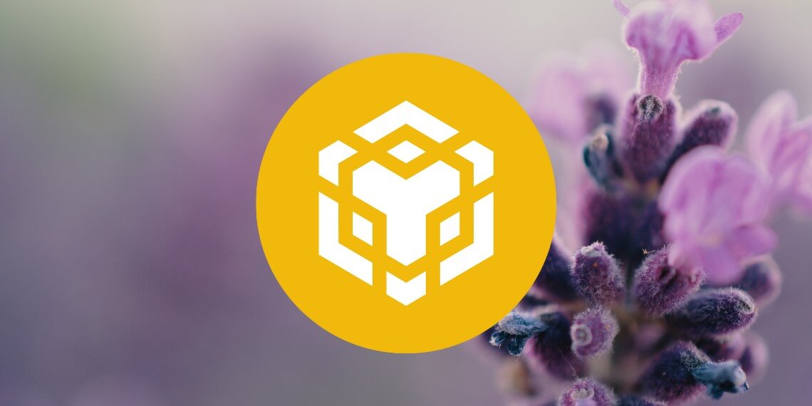 Binance Coin price analysis