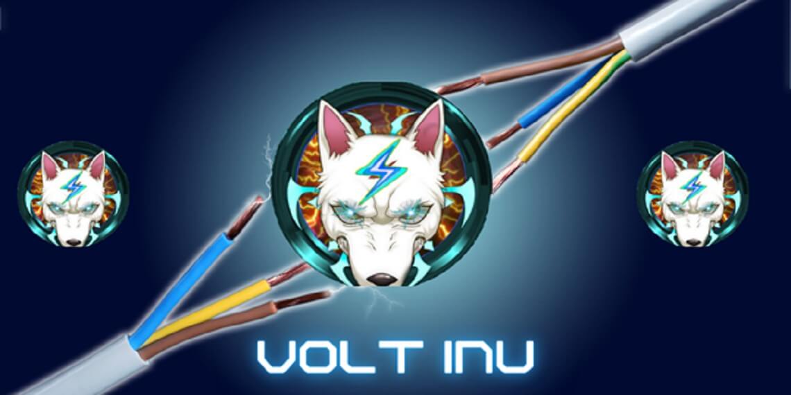 Volt Inu