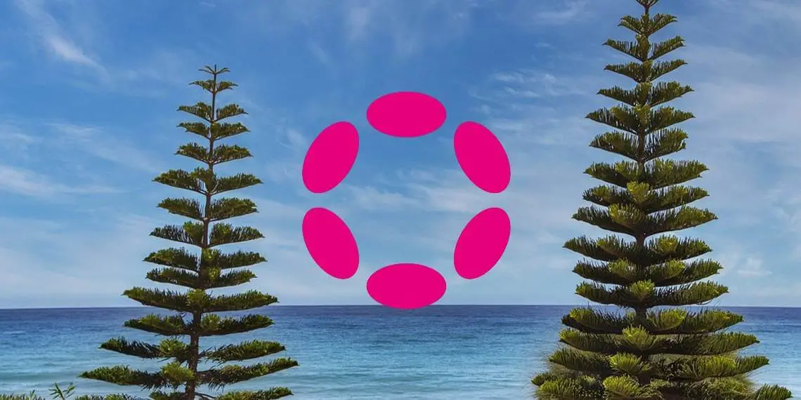 Polkadot-Preisanalyse