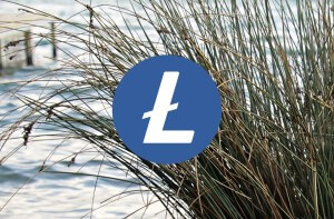 Litecoin price analysis: Bears strengthen their base as LTC price moves down towards $86