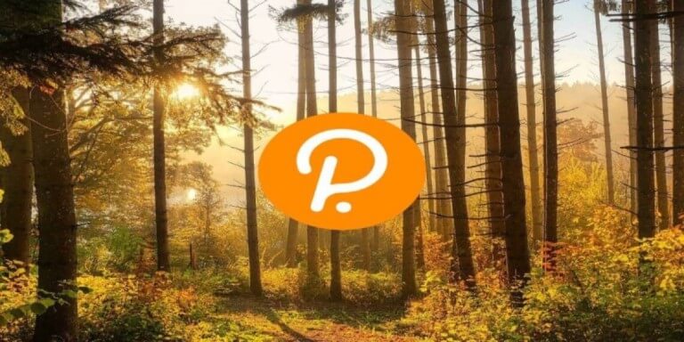 Polkadot price analysis