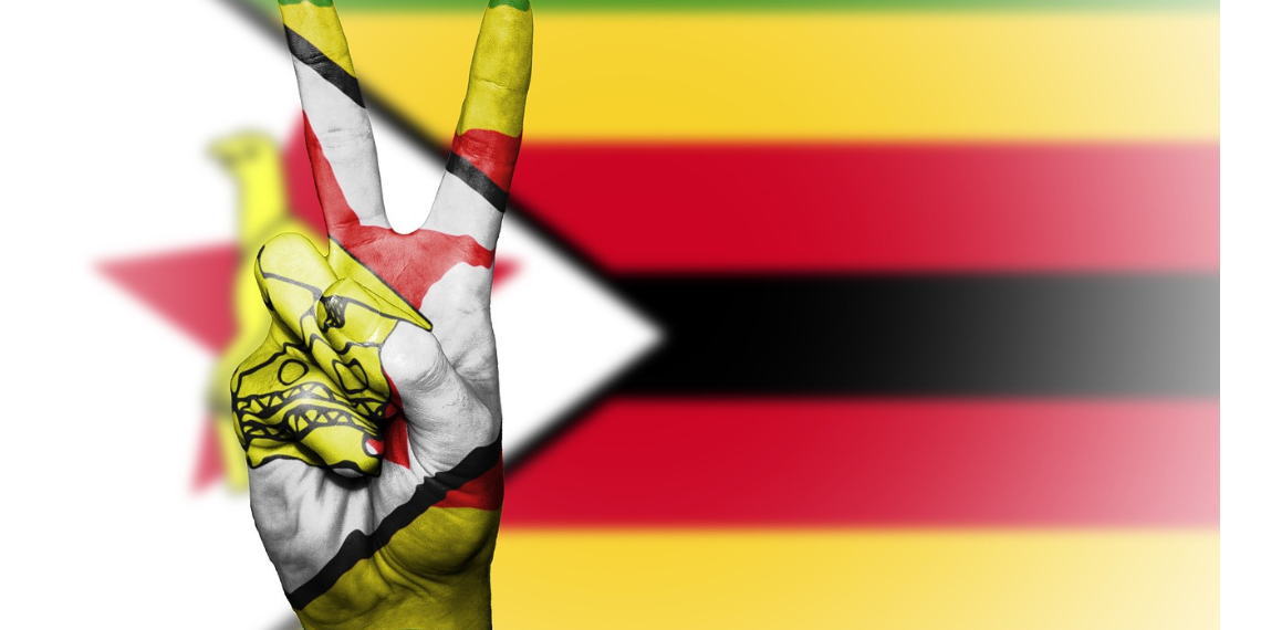 Explaining Zimbabwe’s de-dollarization strategy