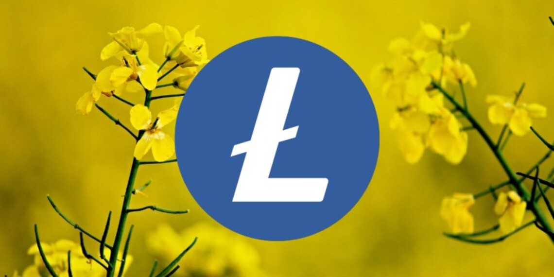 Litecoin price analysis
