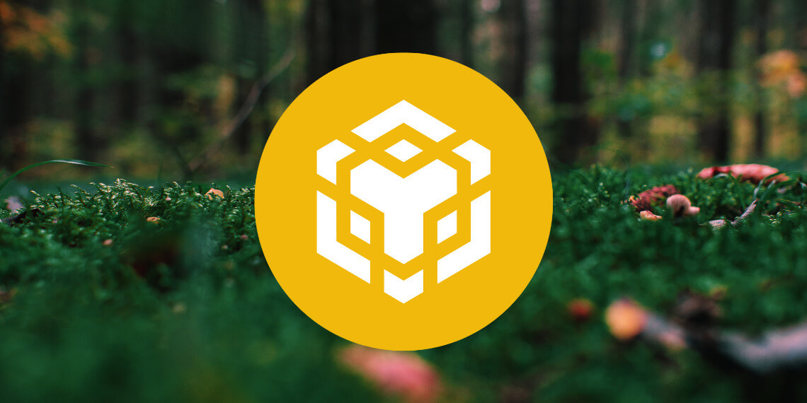 Analyse du prix Binance Coin