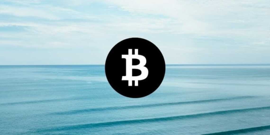 Bitcoin 가격 분석