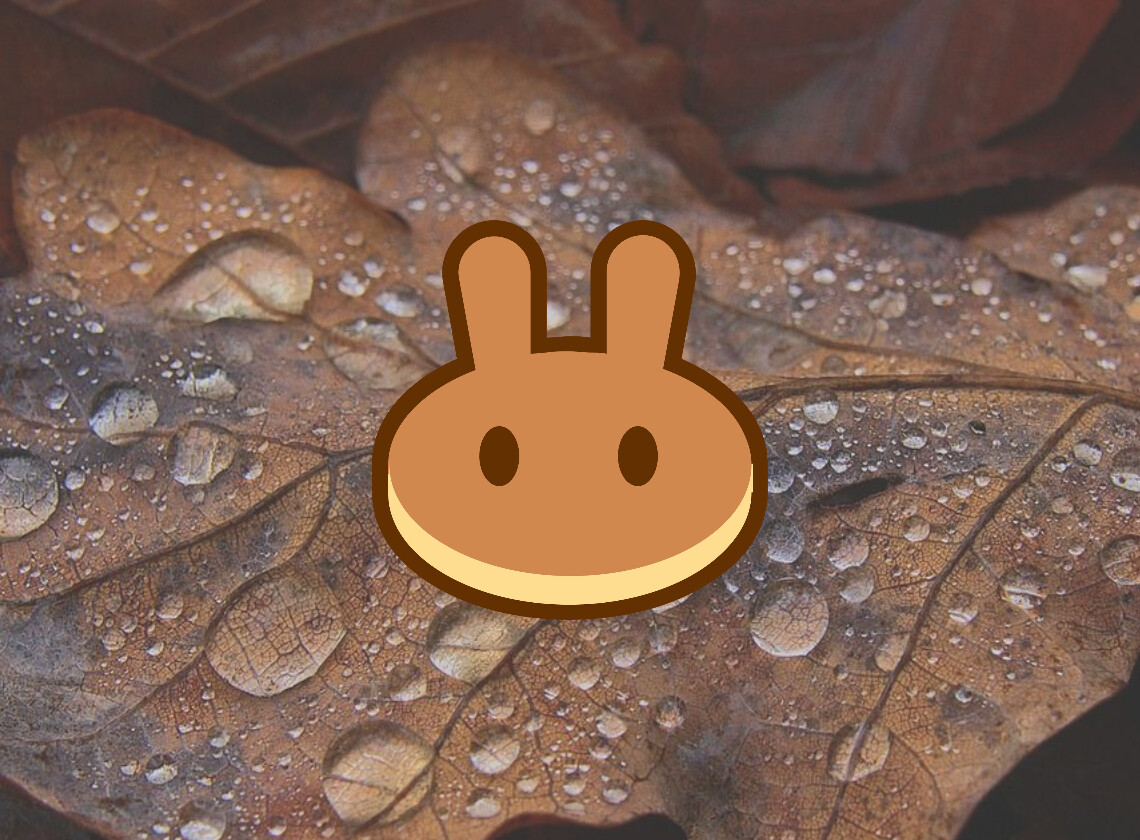 Pancakeswap Price analysis