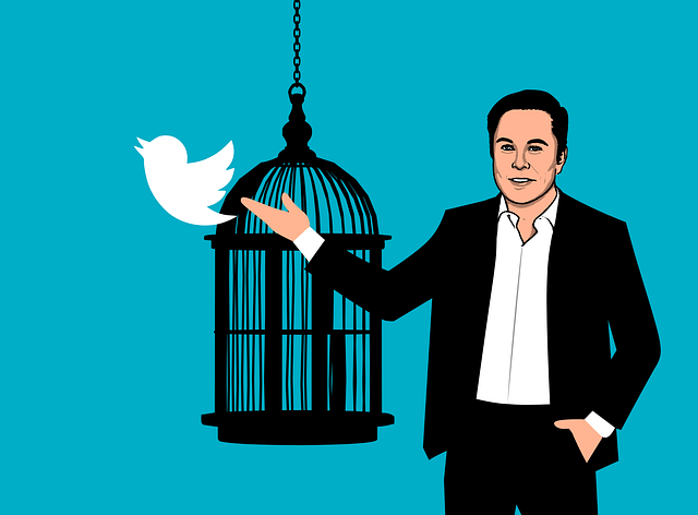 twitter