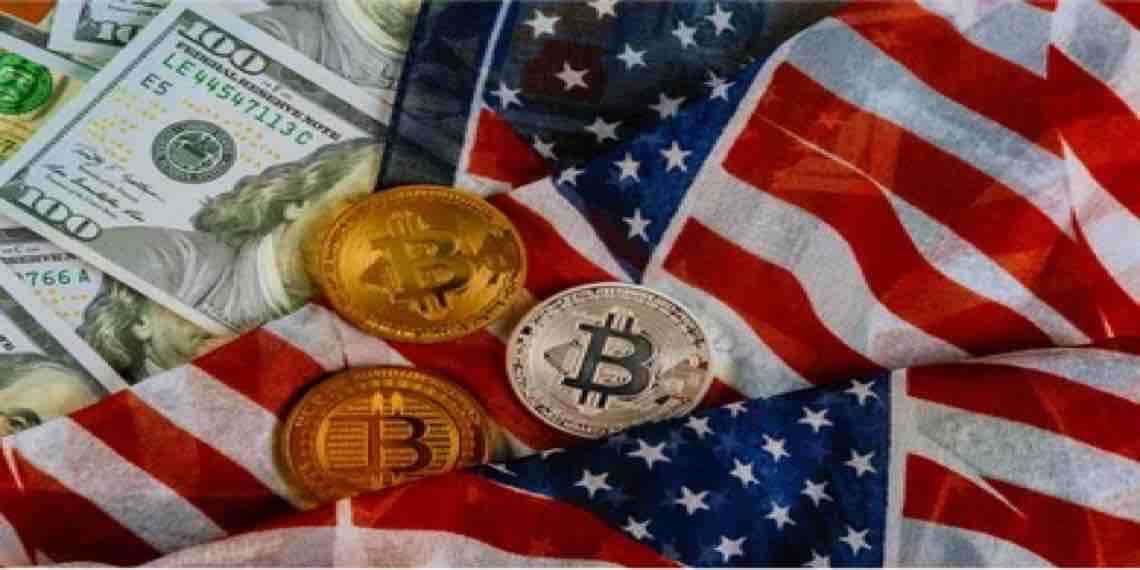 卢米斯参议员