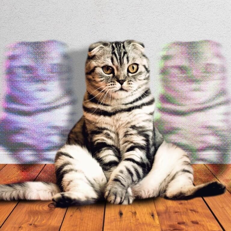 Une épidémie de contrefaçon ravage le monde des cryptomonnaies.