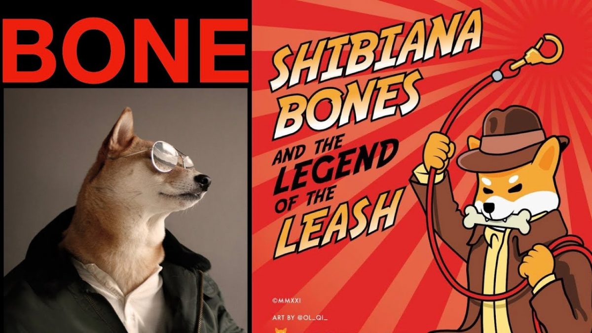 shib是一种犬币加密货币，骨链代币 