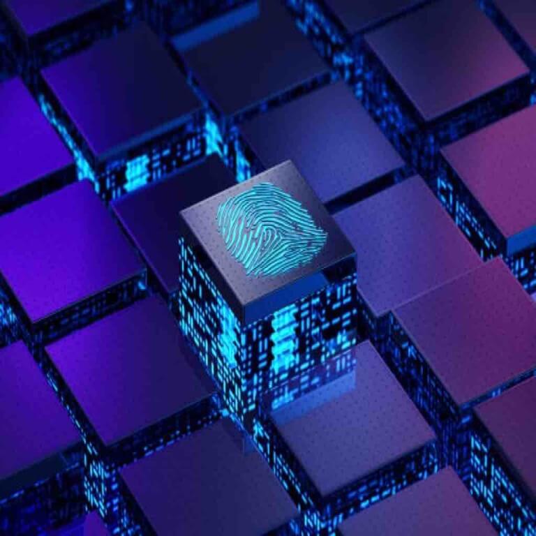 Imigração para os EUA