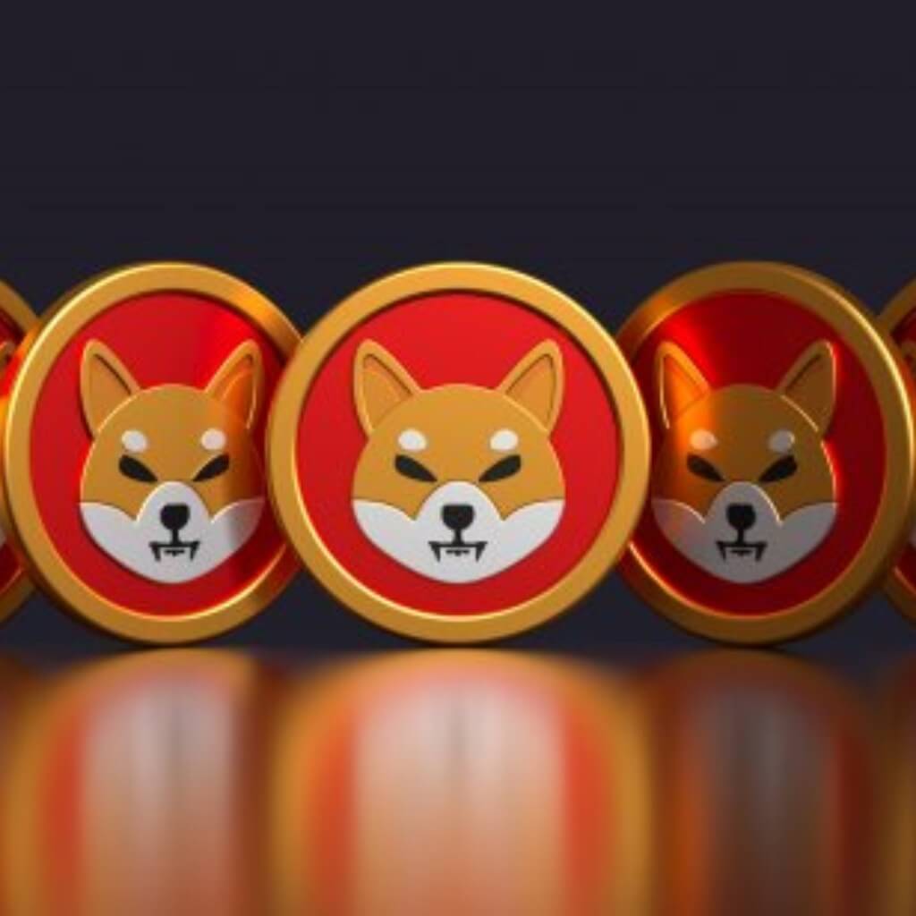 Shiba Inu