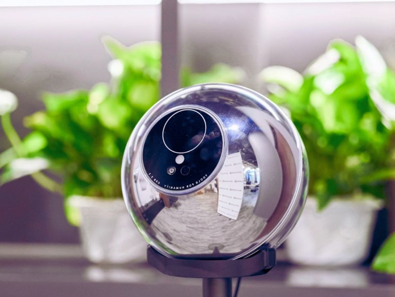 مشروع وورلد كوين يُطلب منه التوقف