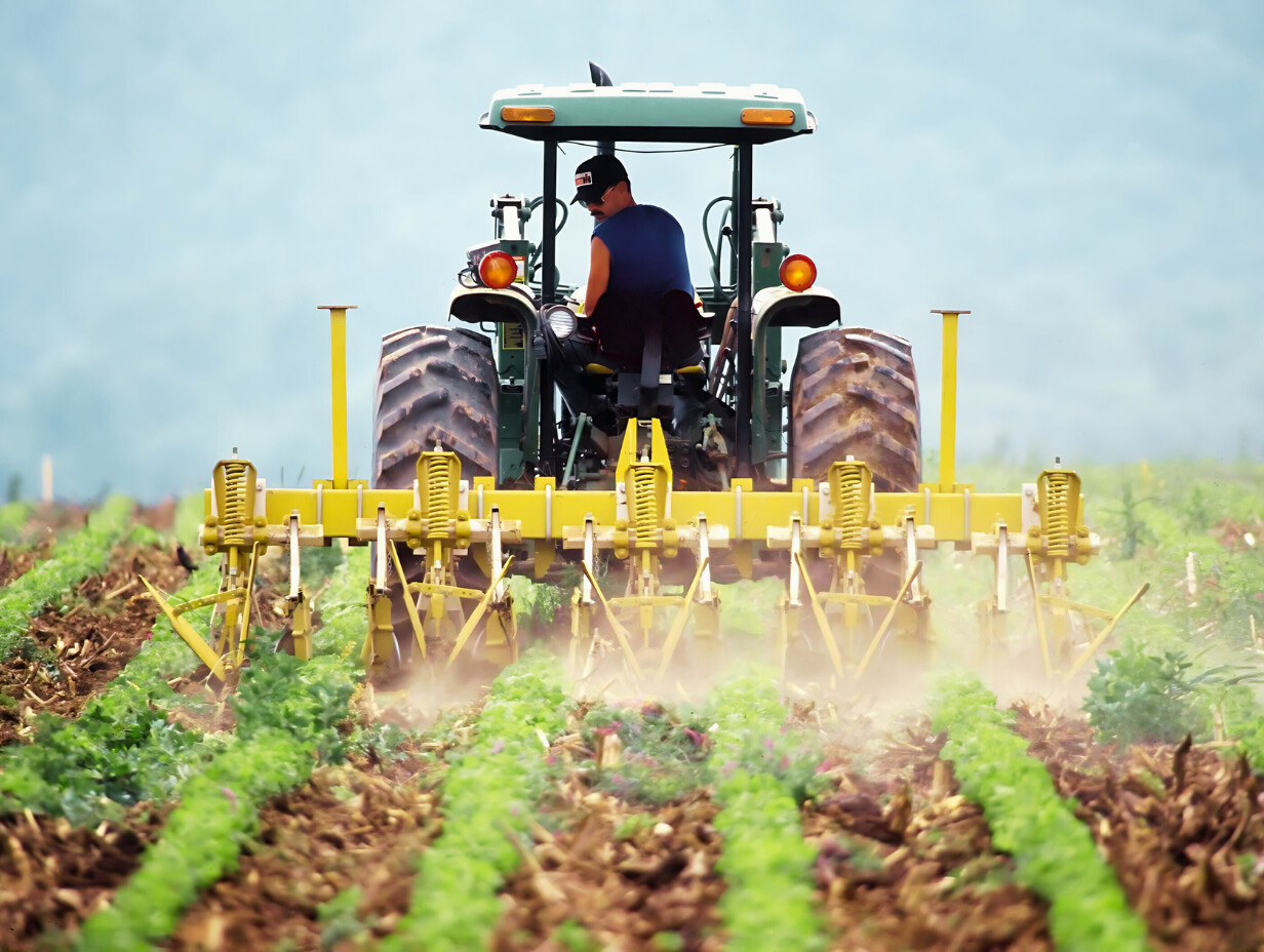Искусственный интеллект помогает фермерам сажать урожай и разводить скот