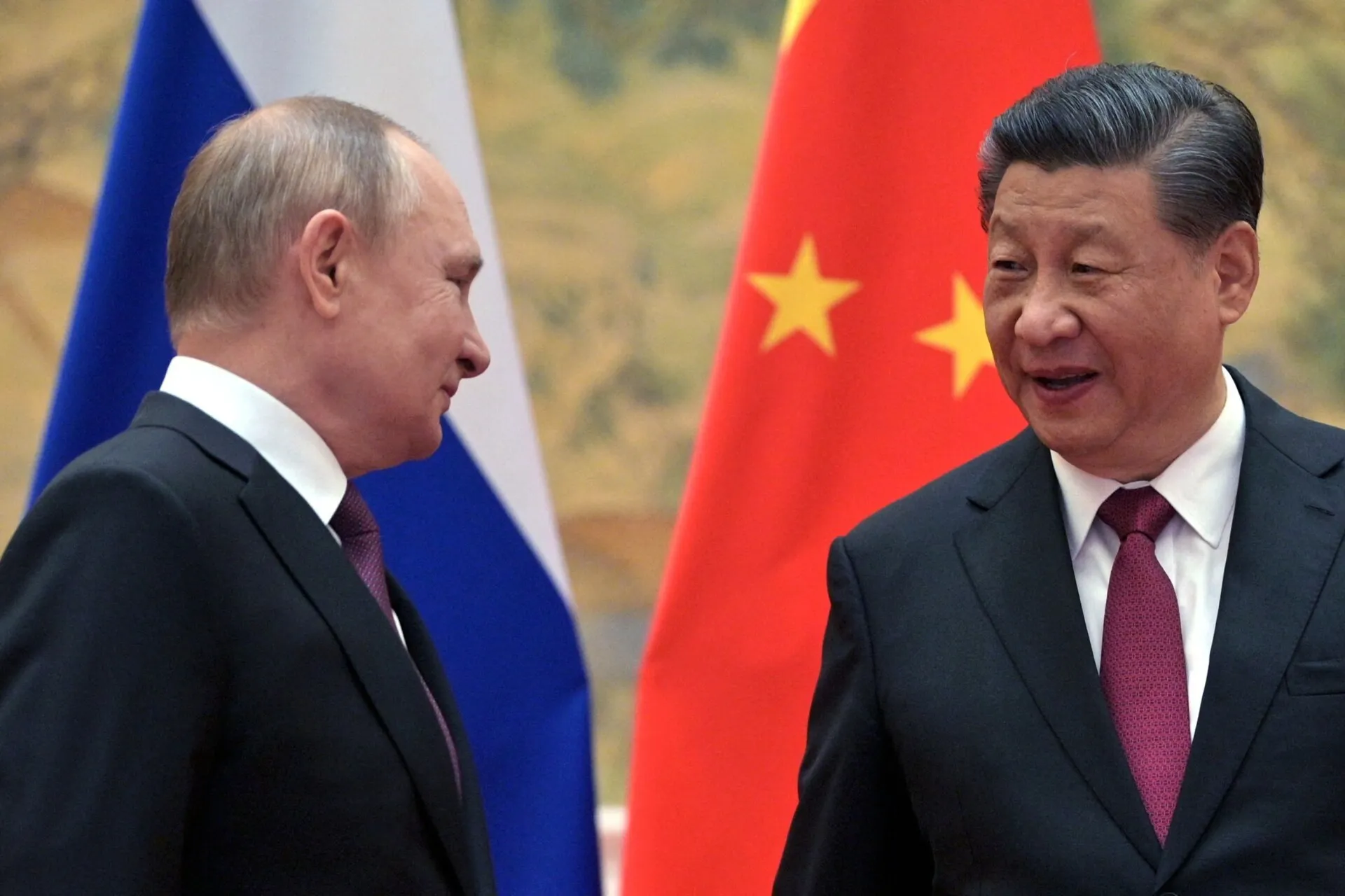 中国和俄罗斯因扩张计划而遭到其他金砖国家成员国的冷落。