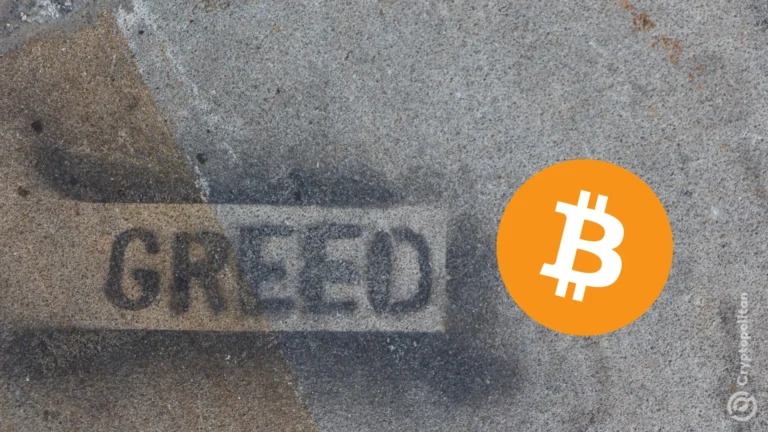 2024 a été l'année la plus avide de Bitcoinde tous les temps