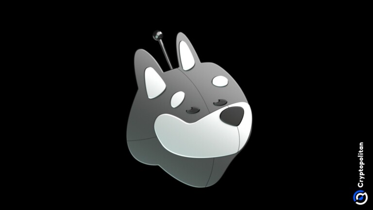 Bonkbot is going non custodial, with increased security measures