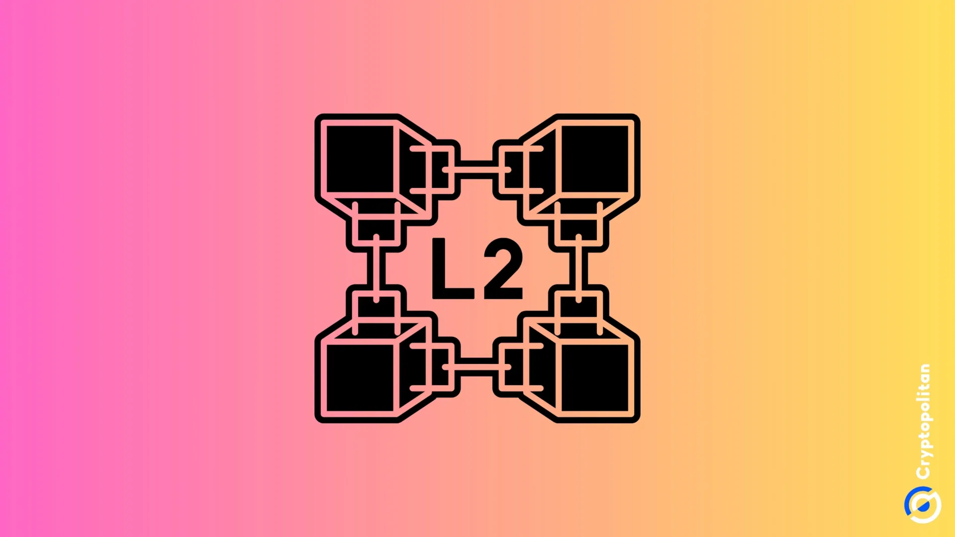 Most L2 platforms host general-purpose traffic