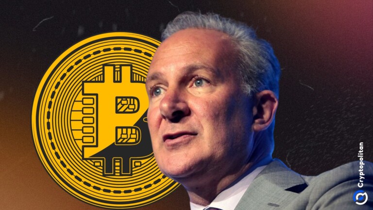Питер Шифф насмешливо советует Майклу Сэйлору подкупить американские Bitcoinплатформы