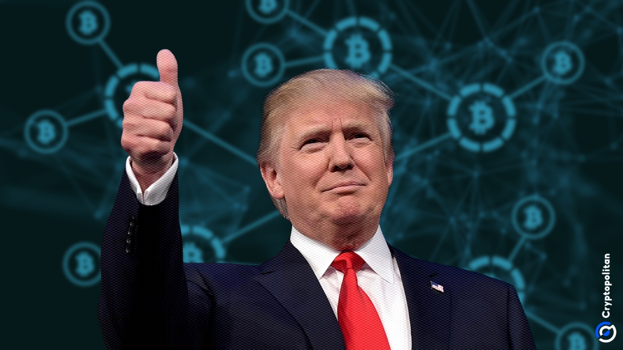 President elect Donald Trump with Bitcoin logos in the background