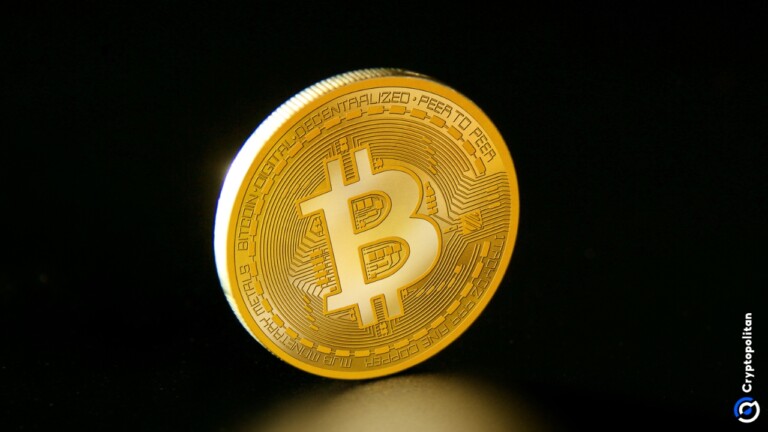 검은 배경에 Bitcoin 코인 ​​로고