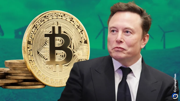 Bitcoin, Elon Musk