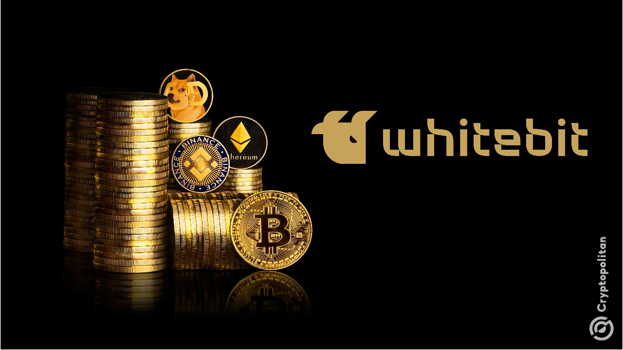 Grafica con una pila di criptovalute e il logo di WhiteBIT