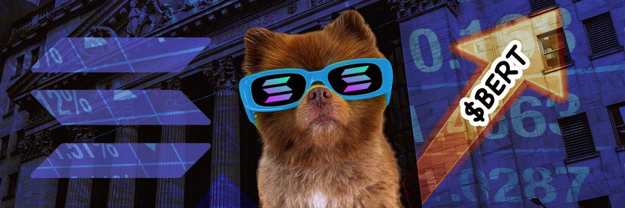 $BERT 革命: 暗号通貨のスターダムと世界的な運動への一匹の犬の旅