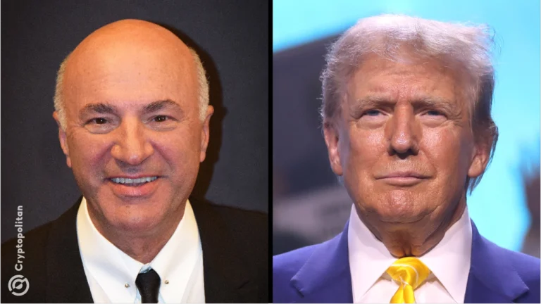 Kevin O'Leary sheds light on why CEOs 'want to suck up to Trump'