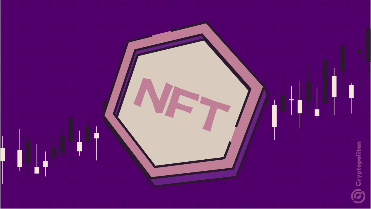 Why is the NFT market reawakening: Pudgy Penguins floor rises to a new record