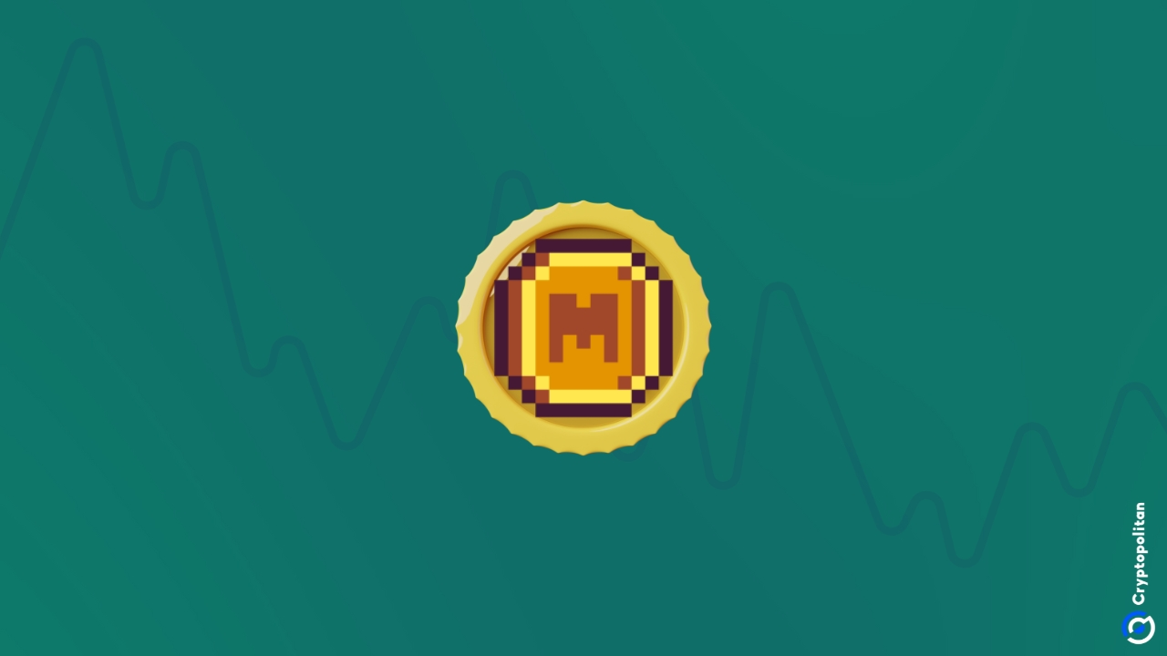 Memecoin price prediction