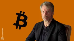 هل يمكن أن تكون شركة مايكروستراتيجي، التي يديرها حيتان Bitcoin مجرد مخطط بونزي متطور؟