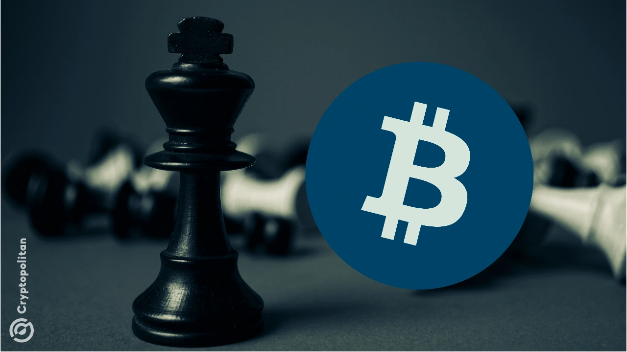 Grafica con l'icona di Bitcoine pezzi degli scacchi sullo sfondo