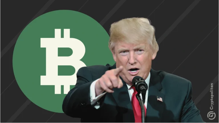 Ripple CEO Brad Garlinghouse says the "Trump bull market is real"