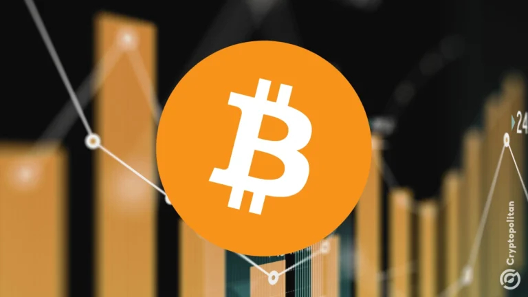 Bitcoin 分析师警告称，随着市场面临获利回吐阶段，风险加剧。