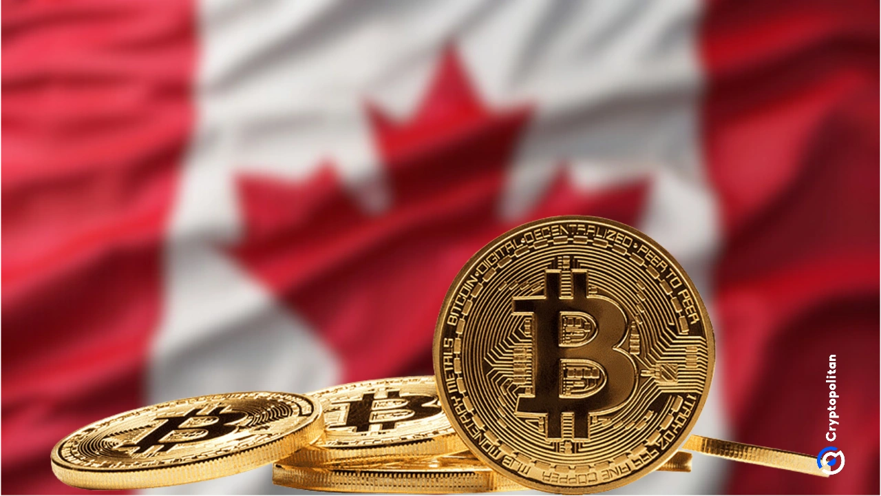 L'OSFI canadese stabilisce nuove linee guida sui rischi delle criptovalute per le banche, mentre l'adozione aumenta