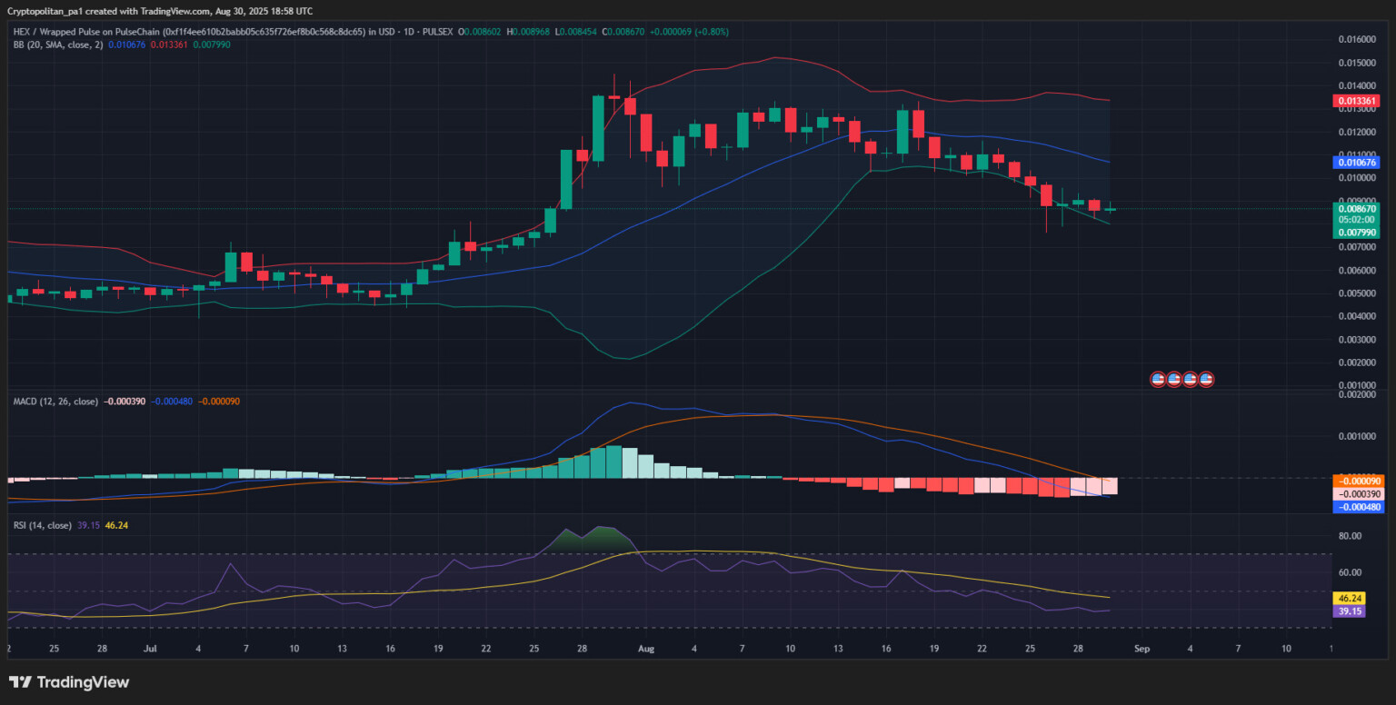 Hex Price Prediction 20252031 How much will Hex be worth?