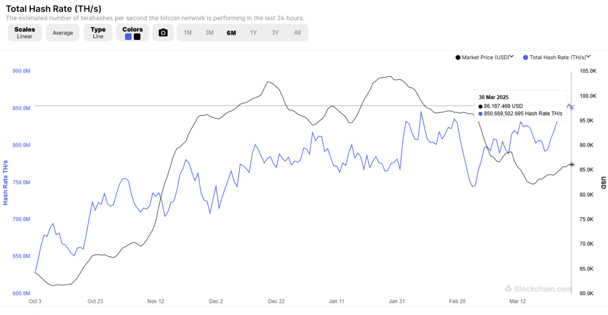 Bitcoin's hashrate went vertical as miners continued to compete despite the record-high network difficulty. 