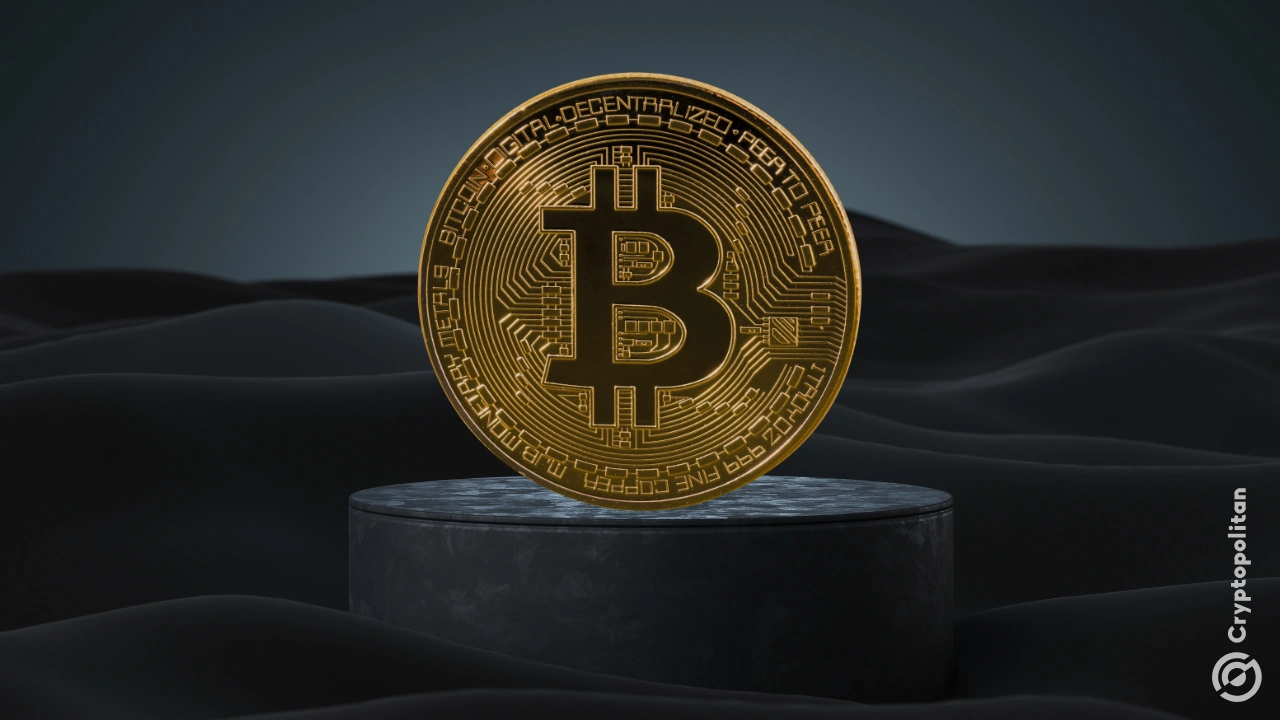 BlackRock invierte entre el 1% y el 2% de sus carteras de asignación en su ETF Bitcoin 