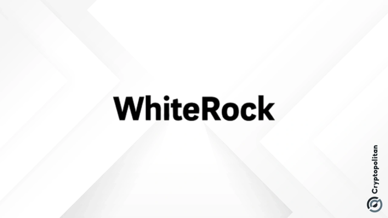 Prédiction du prix blanc