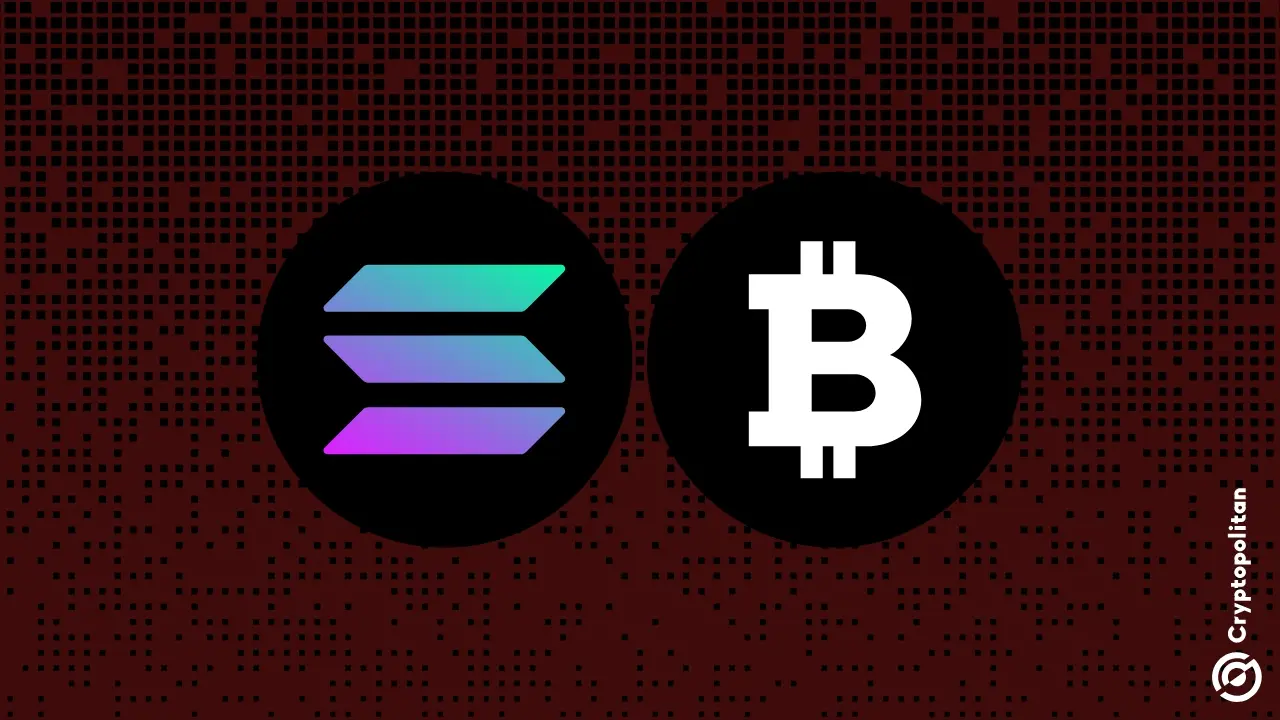 Bitcoin과 Solana 2025년 1분기 경기 둔화 속에서도 암호화폐 시장 지배력을 유지하고 있습니다