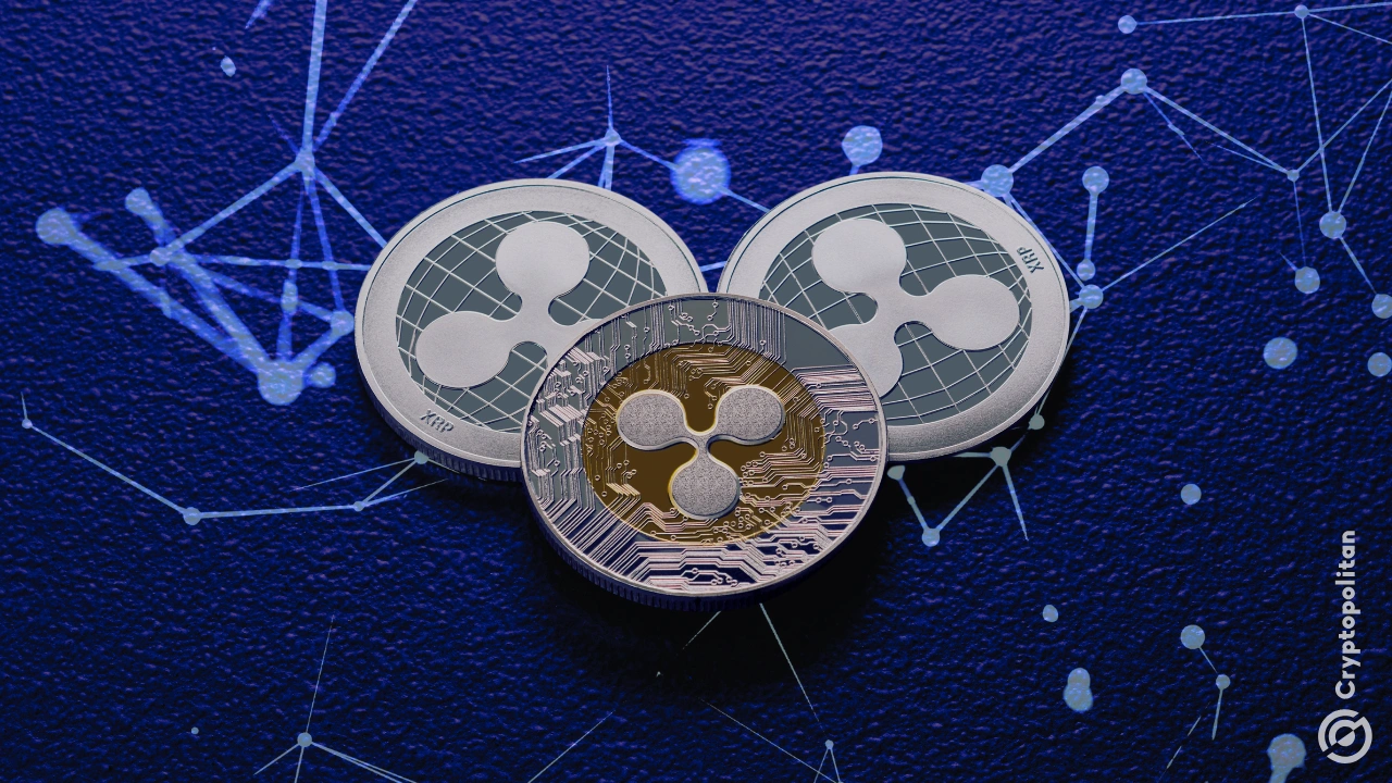XRP Ledger