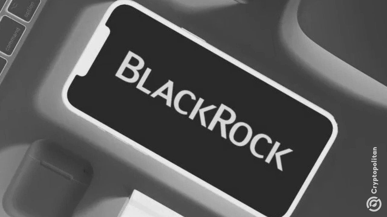 BlackRock doubles down on AI stocks with $160 billion model portfolios