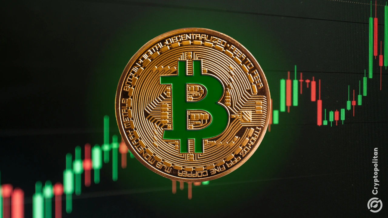 Bitcoin bestraft Bären, aber Altcoins bestrafen ihre Bullen noch härter